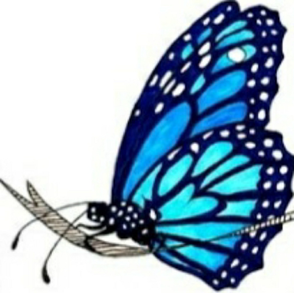 Meet your Posher Promote Wellness,